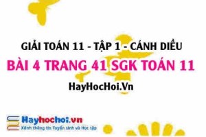 Giải bài 4 trang 41 Toán 11 tập 1 SGK Cánh Diều
